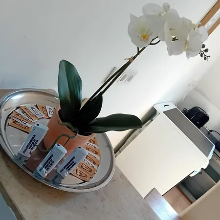 Stellas Monteurwohnungen Crimmitschau