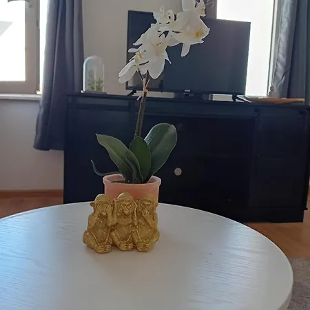 Stellas Monteurwohnungen *