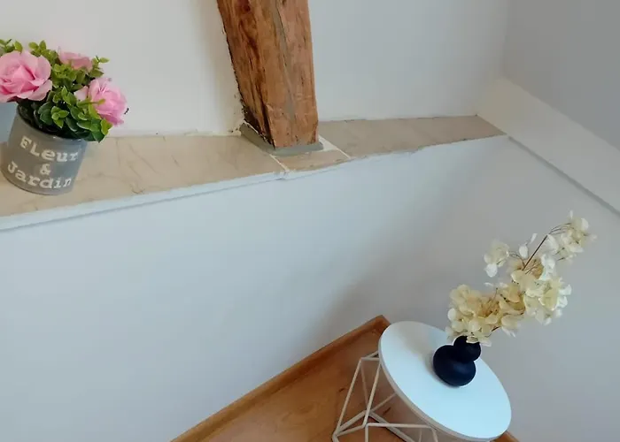 Stellas Monteurwohnungen *