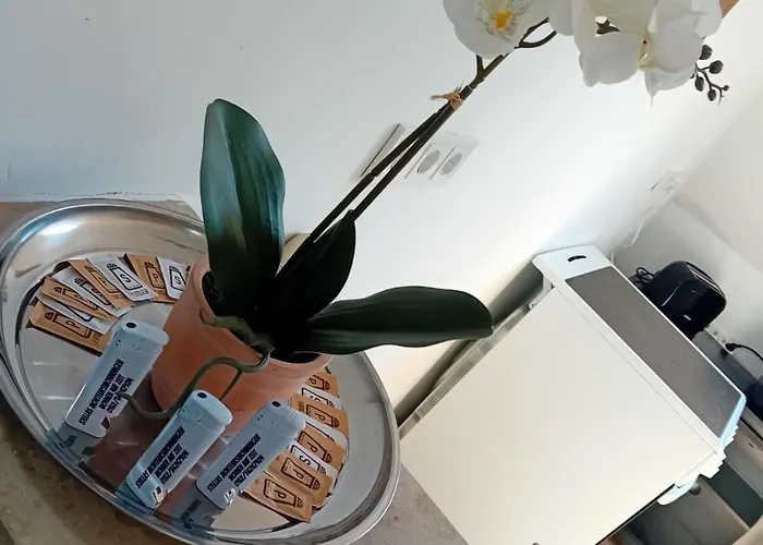 Stellas Monteurwohnungen Crimmitschau