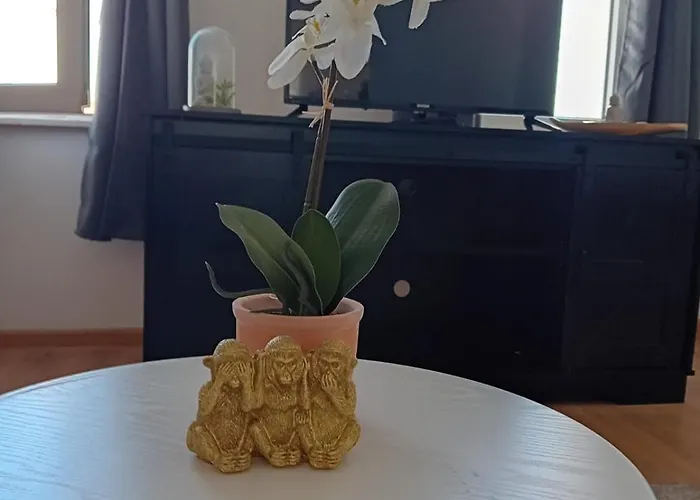 Stellas Monteurwohnungen *